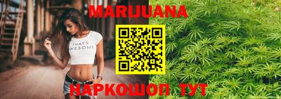 гидра Рязань