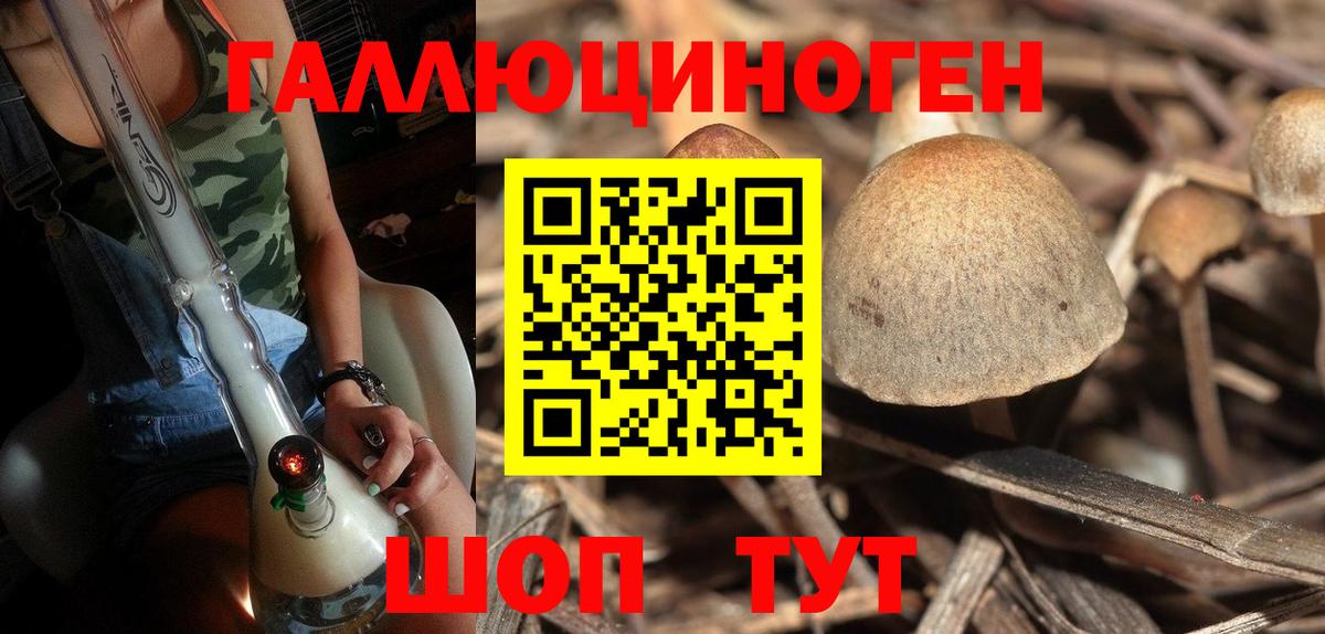 Псилоцибиновые грибы прущие грибы  Вход с VPN  Новокубанск 